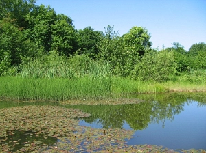 Geschützter Landschaftsbestandteil